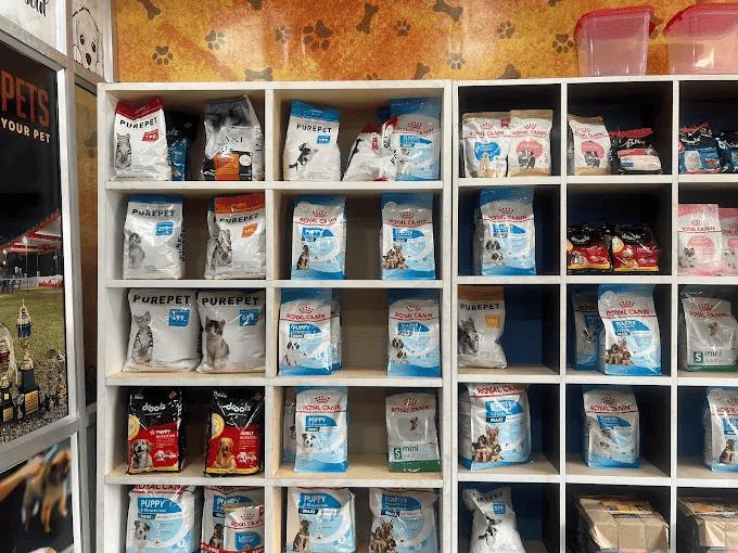 Pet Accessories