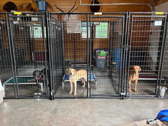 Pet Boarding